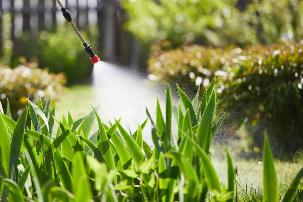 24/7 Emergency Wasp Removal experts in Annandale, VA