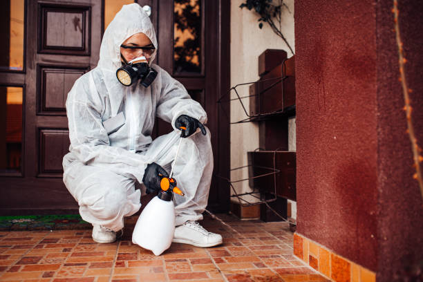 Reliable Wasp Removal contractor in Annandale, VA by Show Me Pest Control